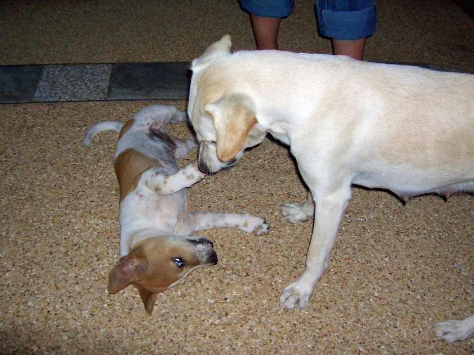 Mutter und Sohn! Hotel Lanta Sand Resort & Spa