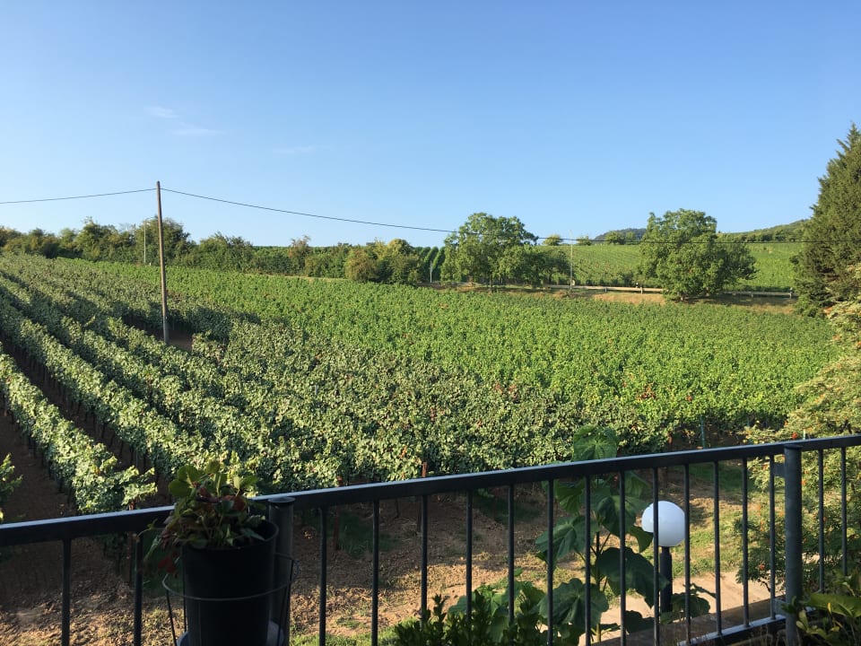 Ausblick Hotel Castell