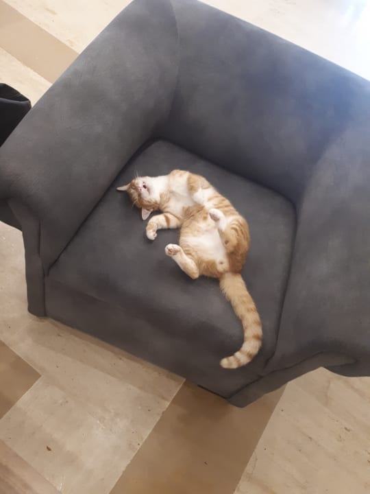 Lobby Labranda Mares Marmaris