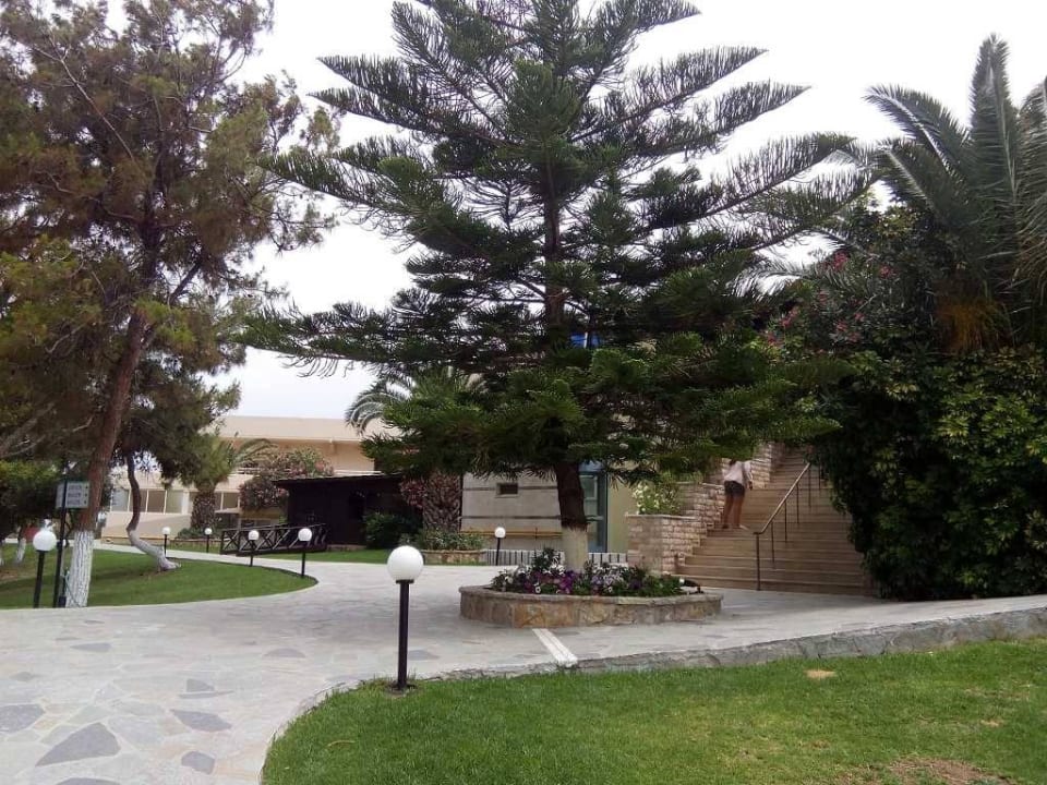 Hotel Kalithea Horizon Royal Hotel Kalithea Horizon Royal