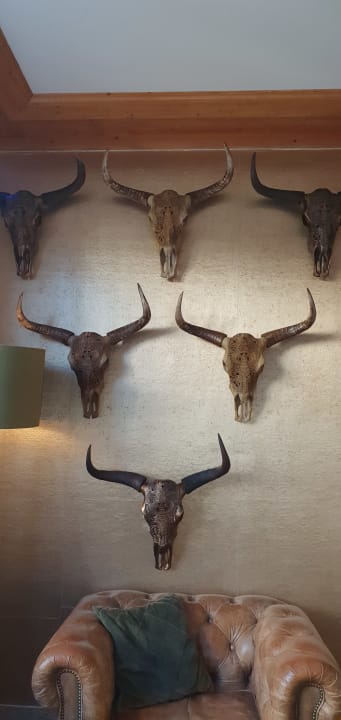 Sonstiges Aldiana Club Ampflwang