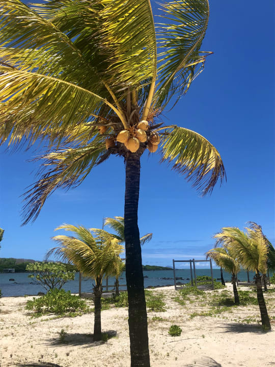 Strand Radisson Blu Poste Lafayette Resort & Spa - Adults only