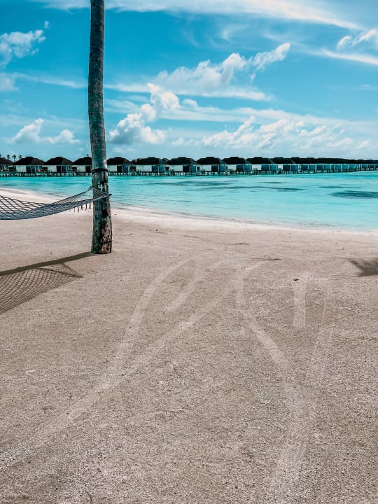 Zimmer TUI BLUE Olhuveli Romance