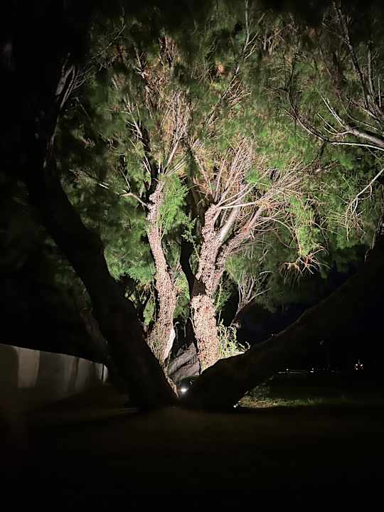 Gartenanlage Atlantica Aegean Blue