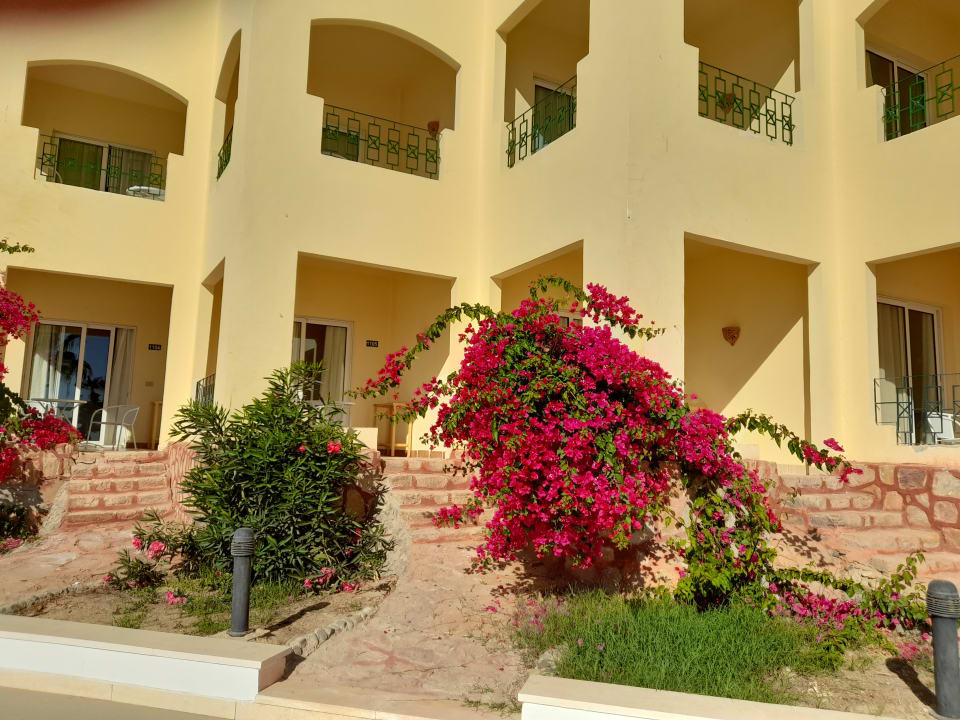 Außenansicht Blue Reef Red Sea Resort