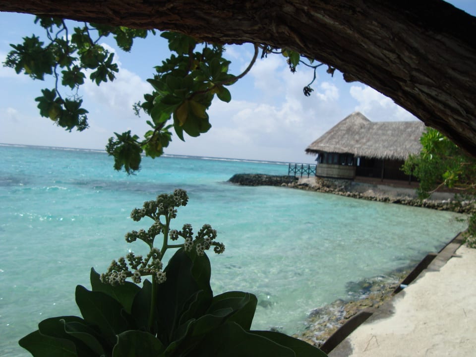 Blick auf Spa Summer Island Maldives