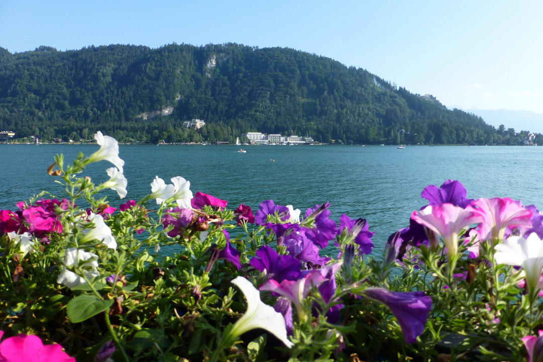 Blick auf das Hotel von Annenheim aus ROBINSON LANDSKRON