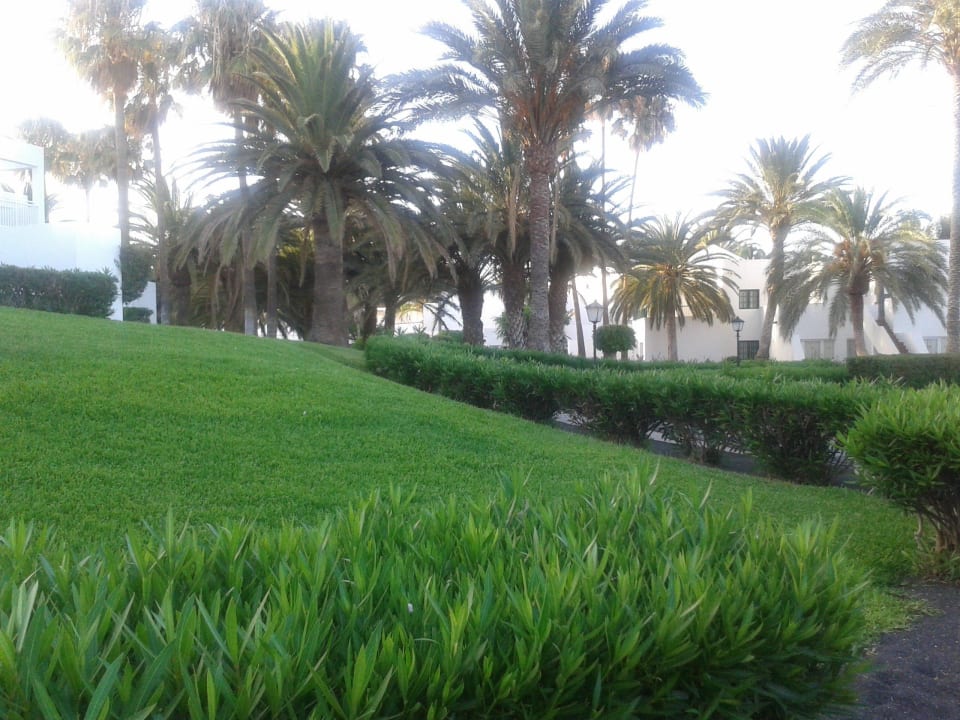 Ogrod Hotel Riu Paraiso Lanzarote
