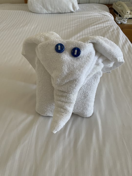 Zimmer Pharaoh Azur Resort