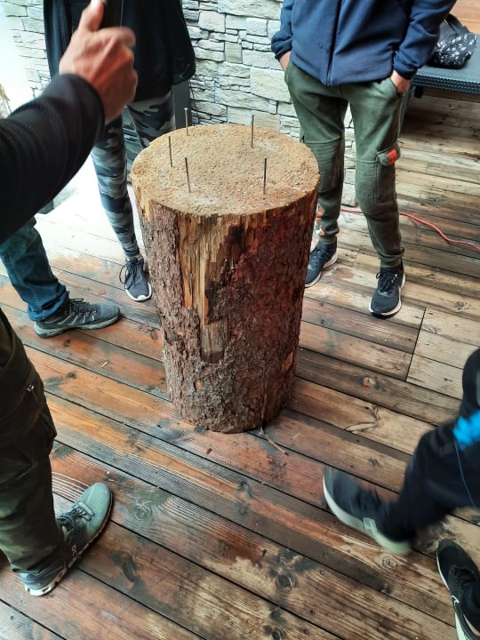 Sport & Freizeit Hotel Wolkensteinbär