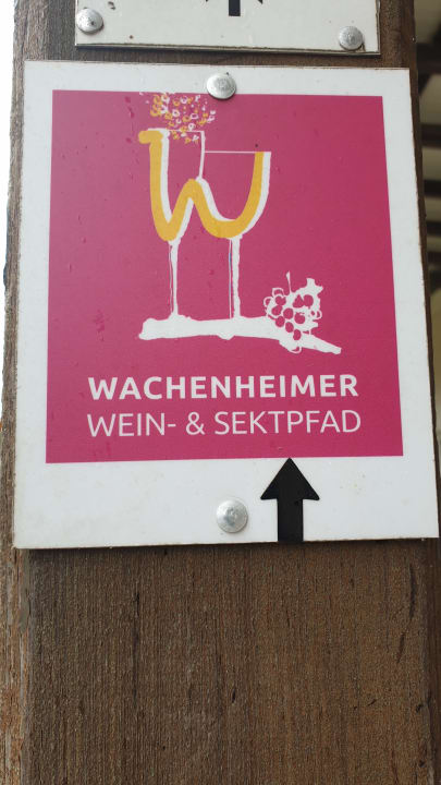 Sport & Freizeit KNAUS Campingpark Bad Dürkheim