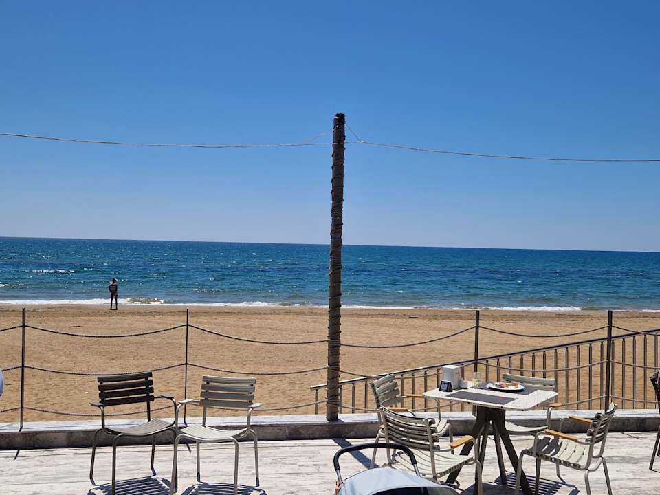 Strand Seashell Vega