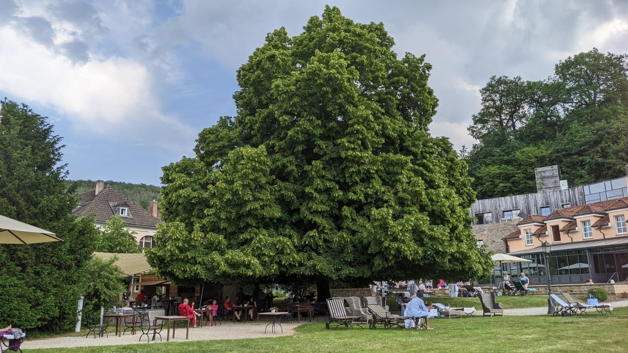 Gartenanlage BollAnts Spa im Park