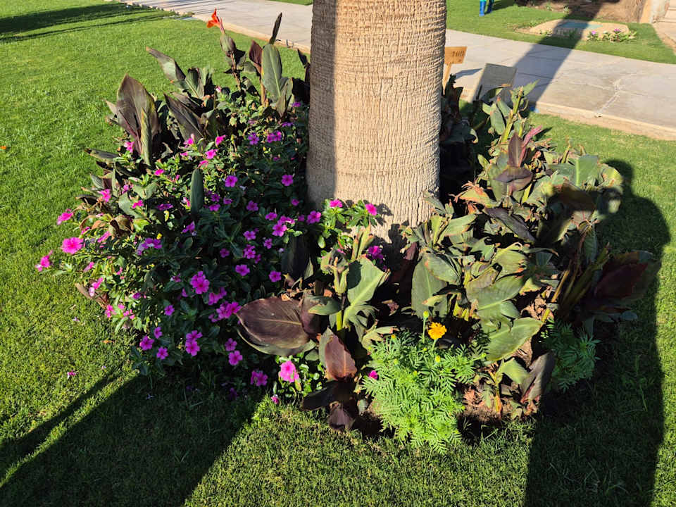 Außenansicht Shams Prestige Abu Soma-Adults Only