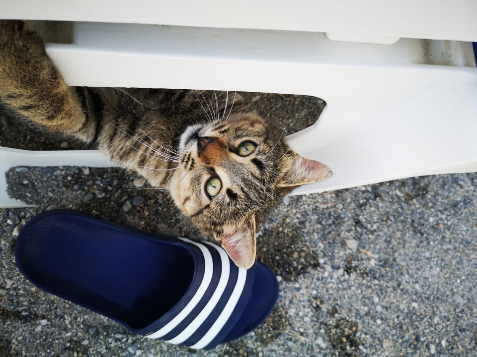 Sonstiges Labranda Alantur Resort