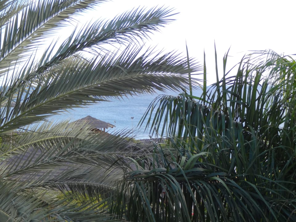 Ausblick von der Suite Princesa Yaiza Suite Hotel Resort