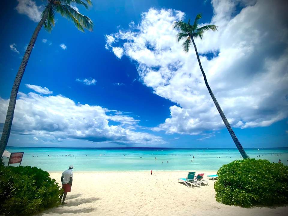 Strand Catalonia Royal La Romana - Adults only