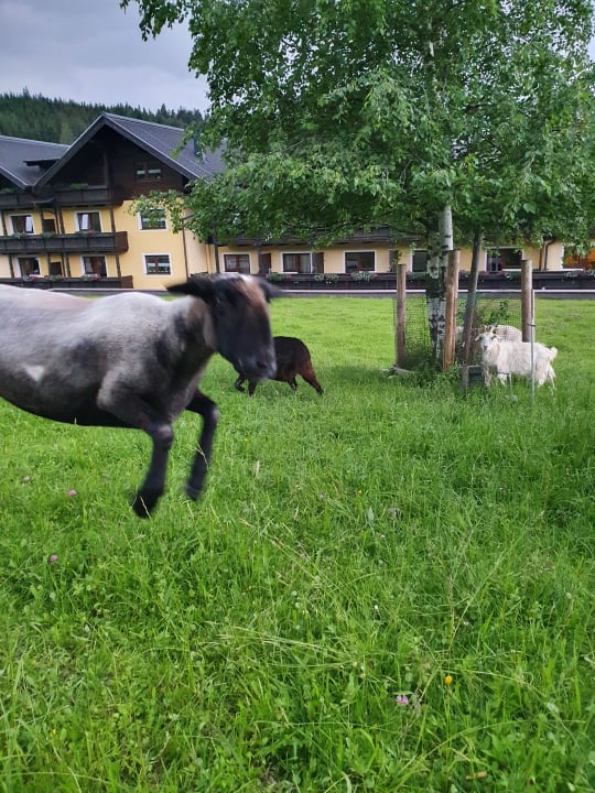 Sport & Freizeit Frühstückspension Gästehaus Elisabeth