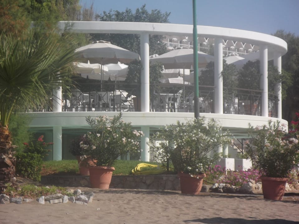 Poolbar Hotel Calypso Beach