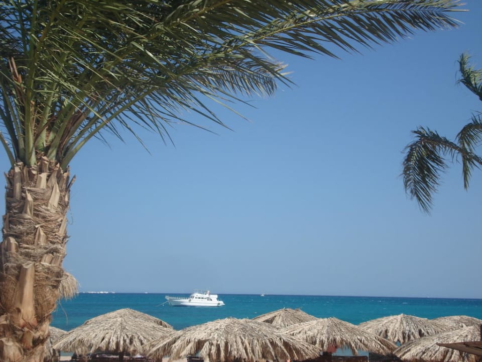 Raj Sentido Caribbean World Soma Bay