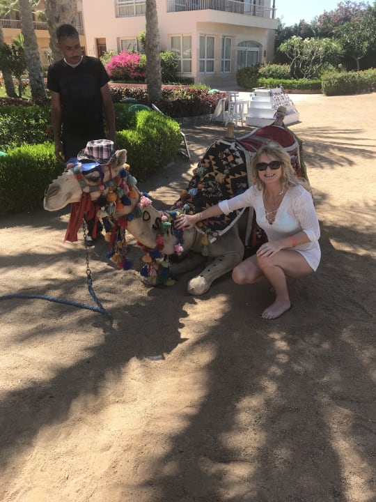 Strand Sea Star Beau Rivage