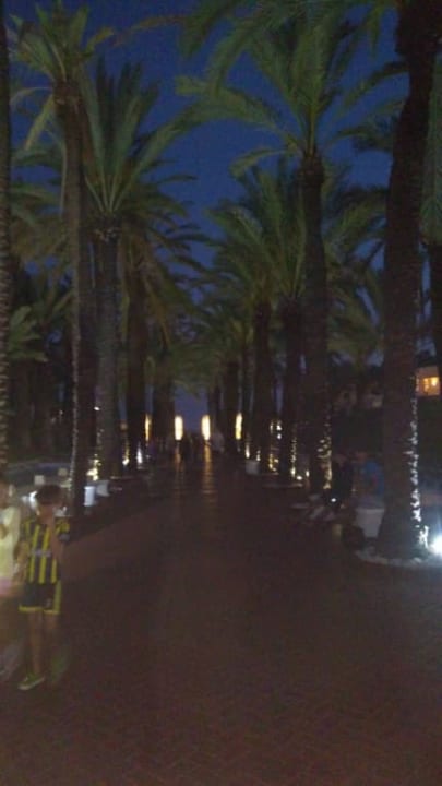 Droga na plażę Monachus Family Resort Sorgun