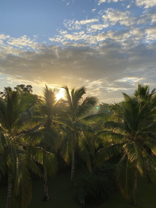 Ausblick Secrets La Romana Resort & Spa - Adult Only