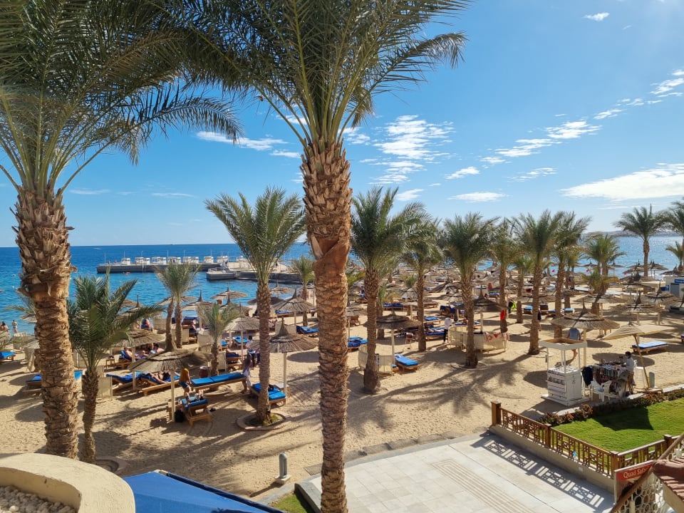 Ausblick Beach Albatros Resort