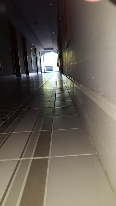 Zimmer Asteria Venus Didim