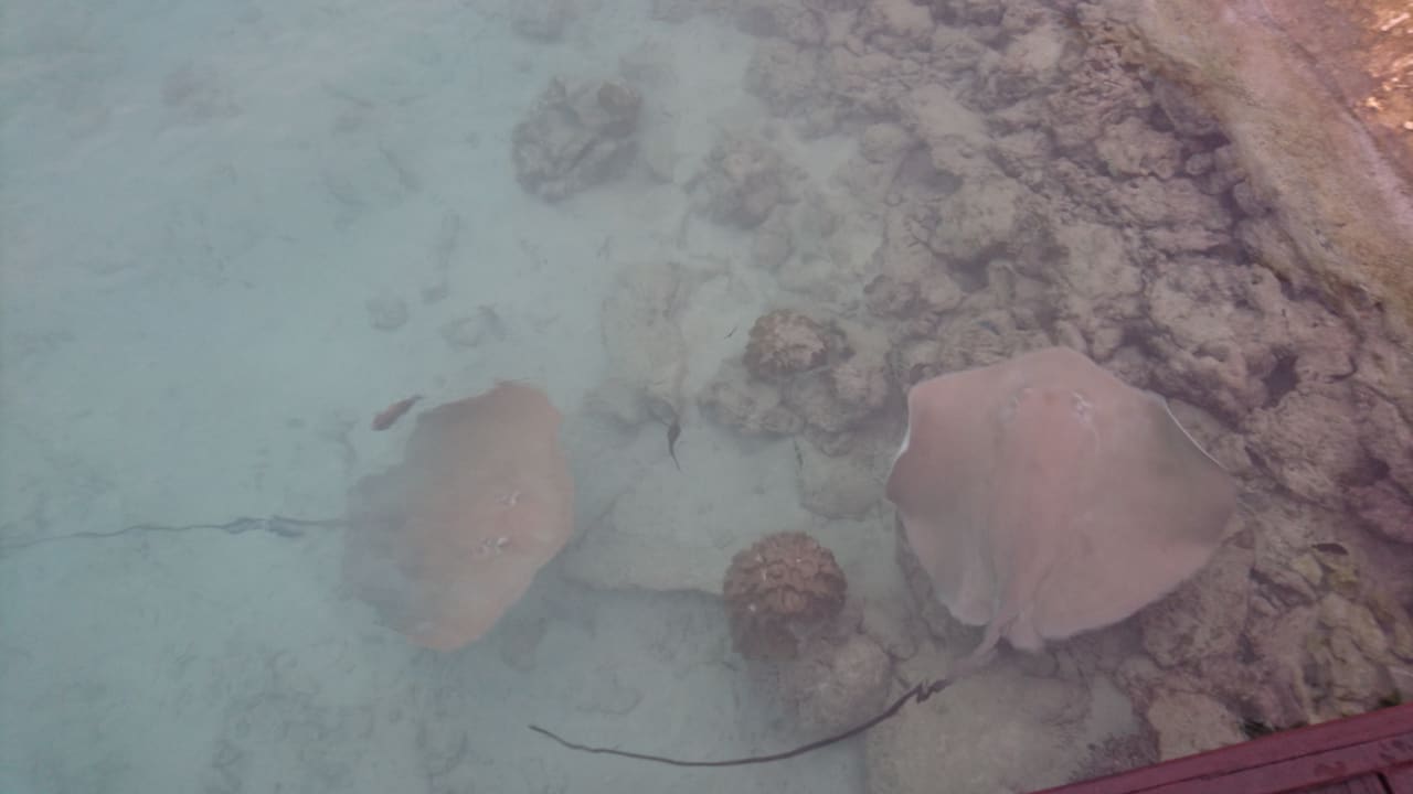 Strand Adaaran Select Hudhuran Fushi - Premium All Inclusive