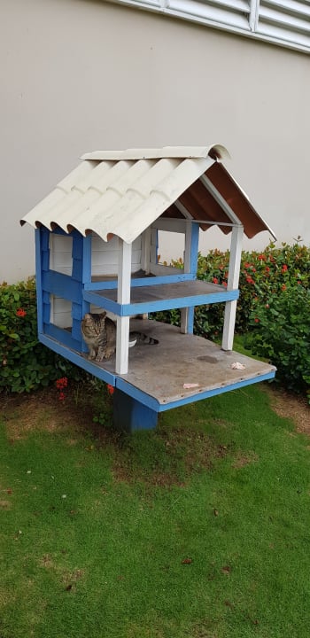 Sonstiges Royalton Hicacos Resort & Spa - Adults only