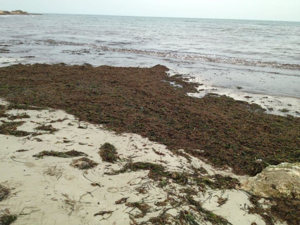 Strand Hotel El Mouradi Djerba Menzel