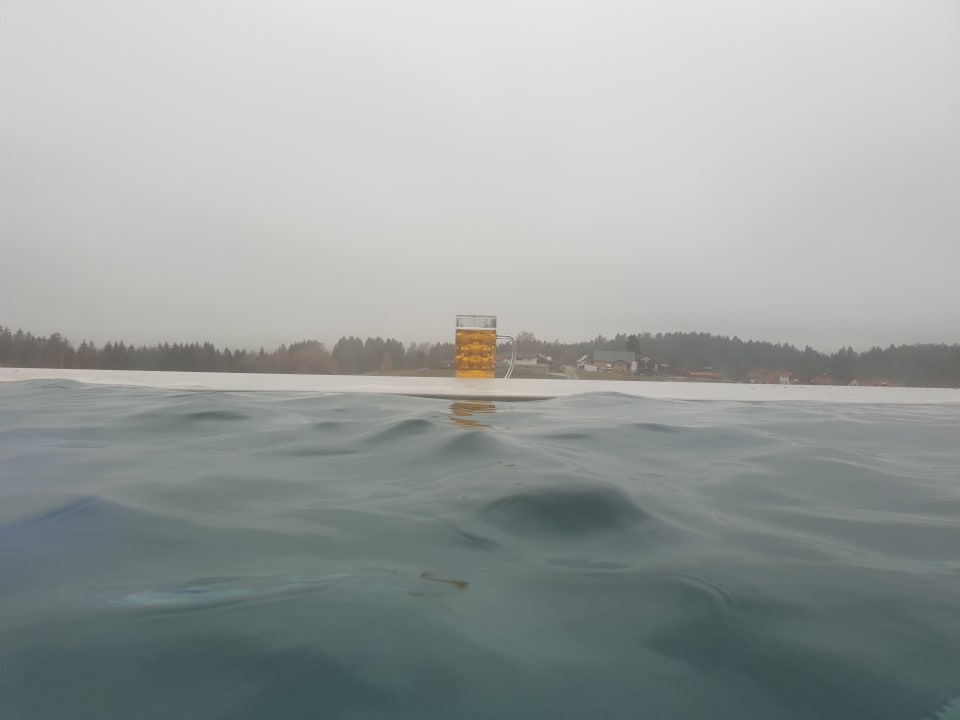 Pool 1. Bier & Wohlfühlhotel Gut Riedelsbach