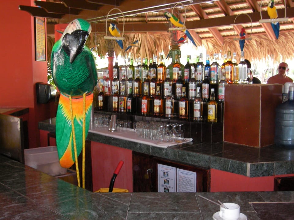 Poolbar Wyndham Alltra Samana