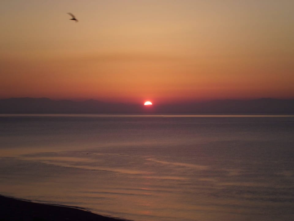 Sonnenaufgang Hotel Calypso Beach