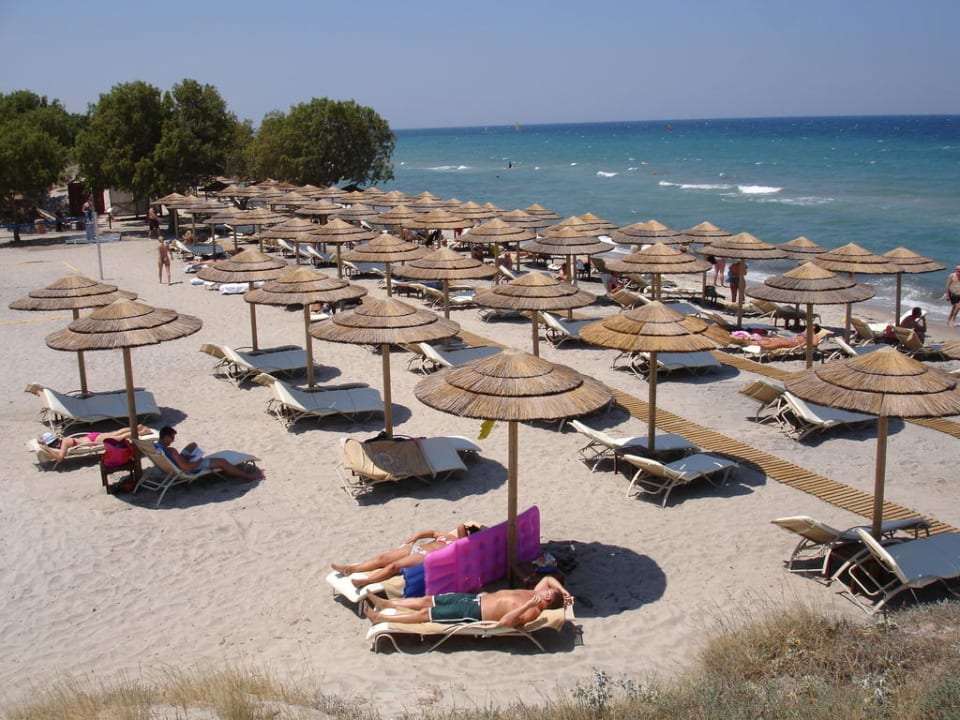 Strohschirme und keine billigen Stoffschirme TUI BLUE Palazzo del Mare