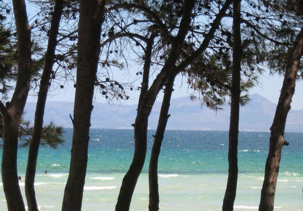 Strand Grupotel Los Principes & Spa