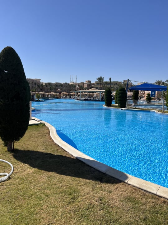Pool Pickalbatros Palace Resort