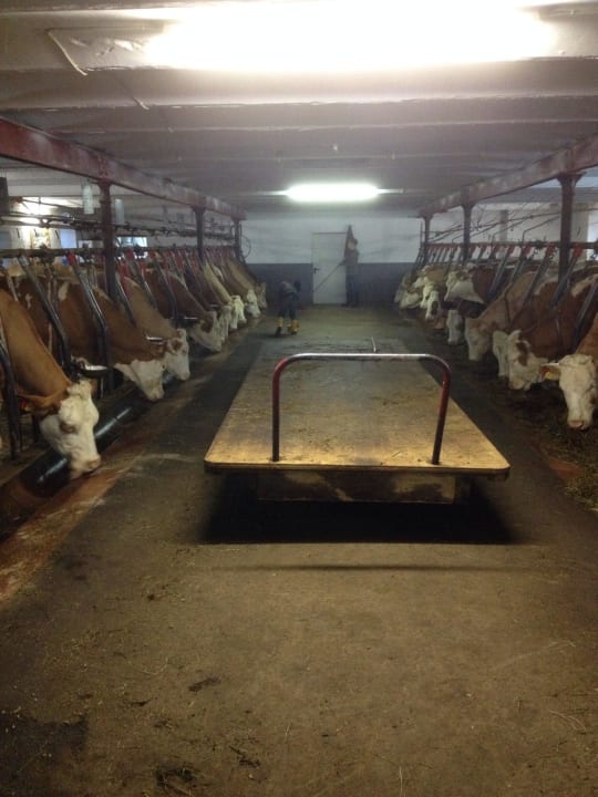 Der Stall Ferienwohnungen Lettnerhof