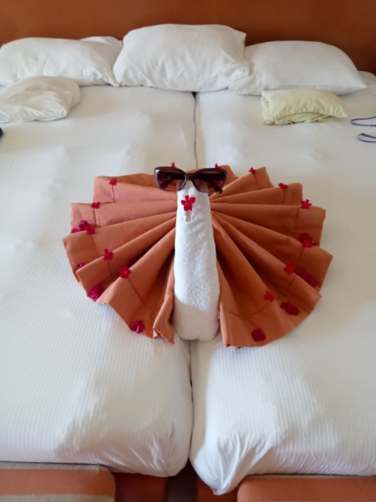 Zimmer Cleopatra Luxury Resort Makadi Bay