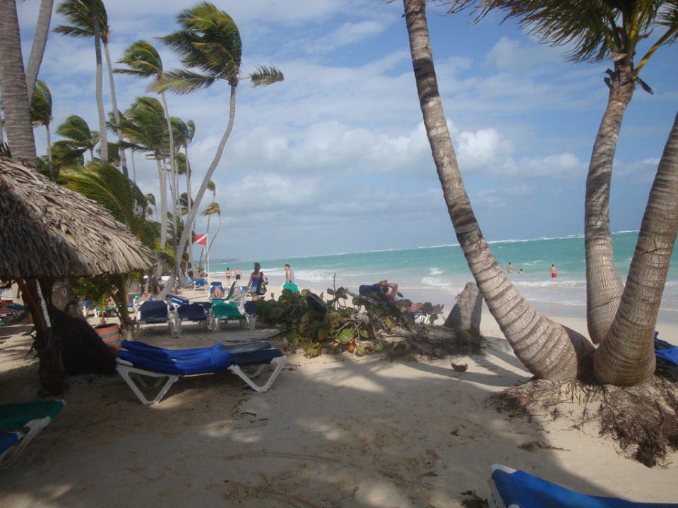 Strand beim Palace Hotel Grand Palladium Palace Resort, Spa & Casino