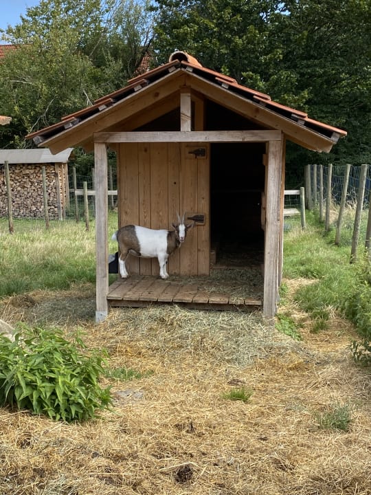 Gartenanlage Landhaus & Landsuiten Hoher