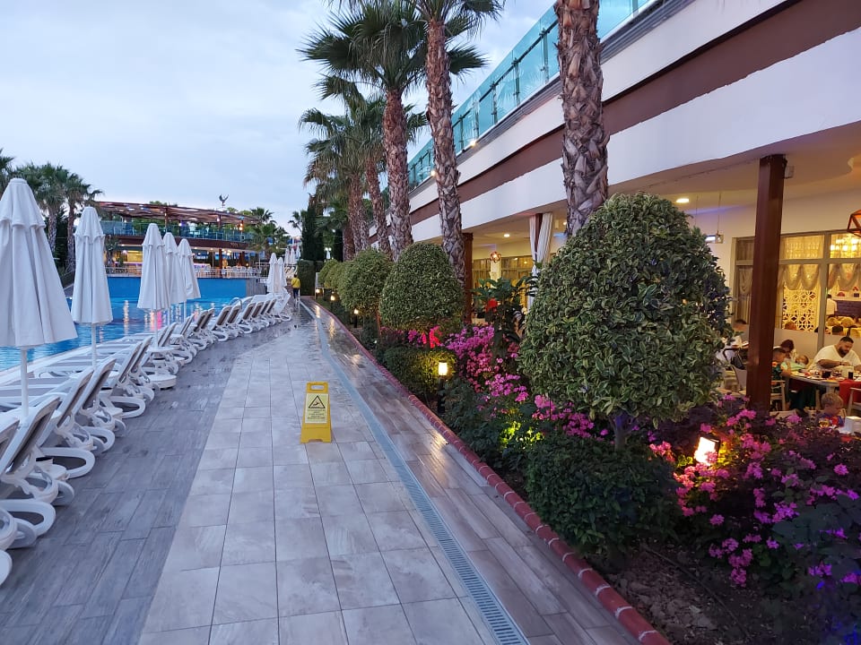 Gartenanlage Dream World Aqua Hotel