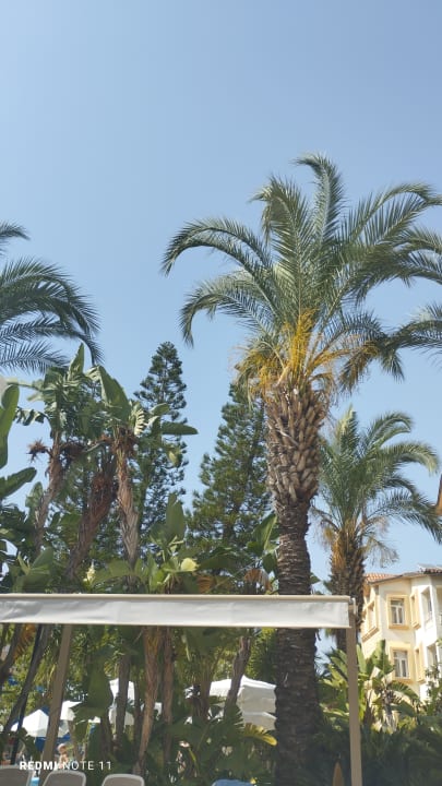 Gartenanlage Side Village Hotel