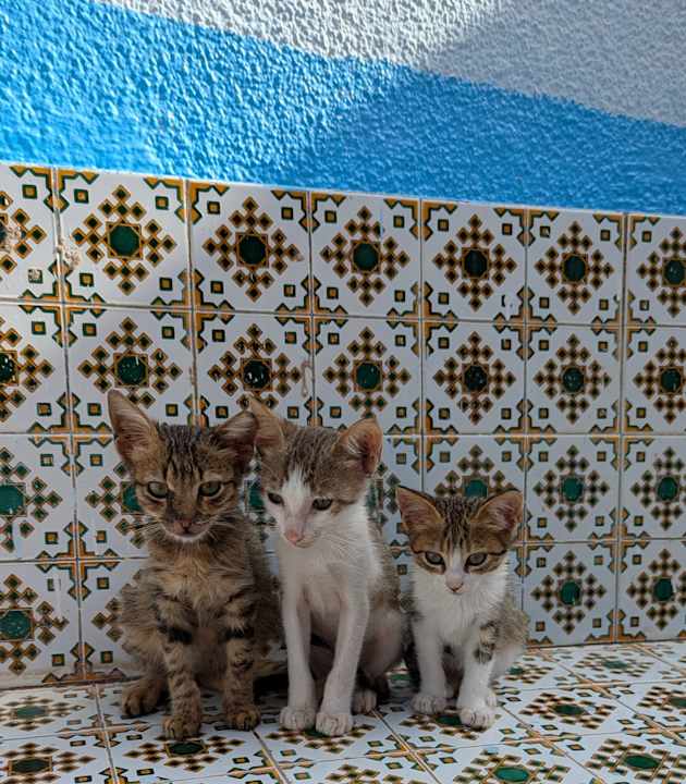 Sonstiges Sahara Beach Aquapark & Resort