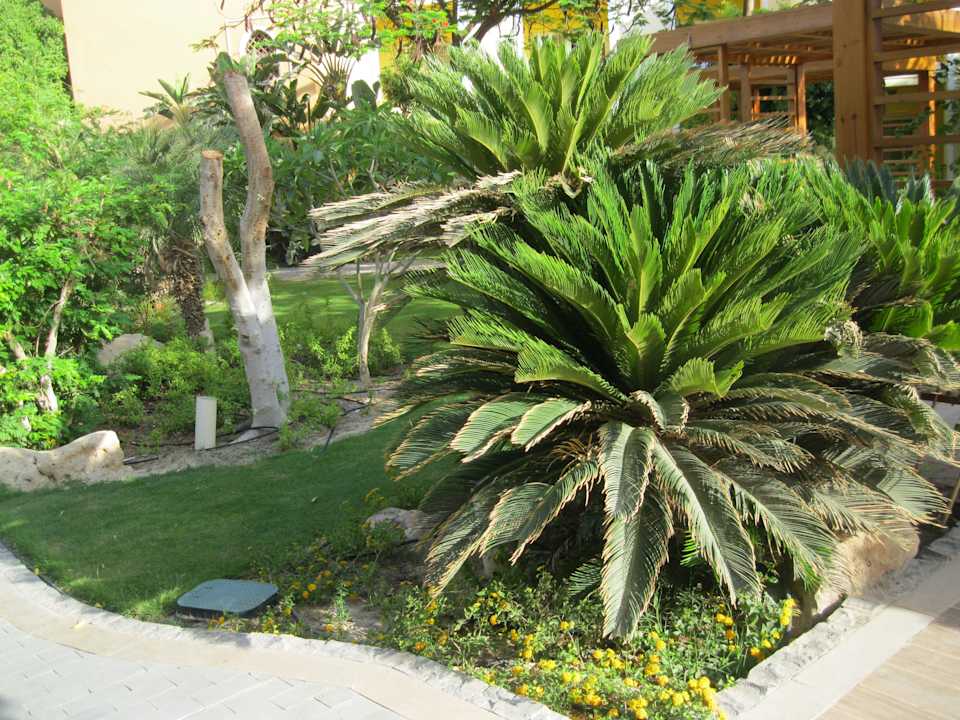 Gartenanlage The Grand Resort