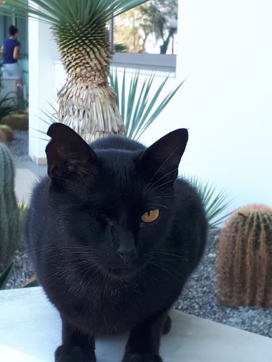 Sonstiges Rhodos Horizon Resort