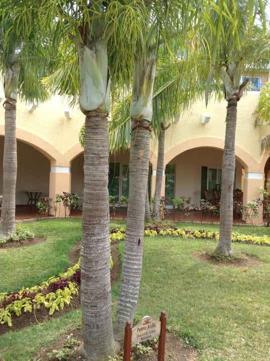 Gartenanlage Melia Las Antillas - Adults only