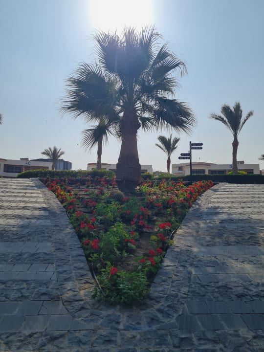 Gartenanlage Hurghada Long Beach Resort