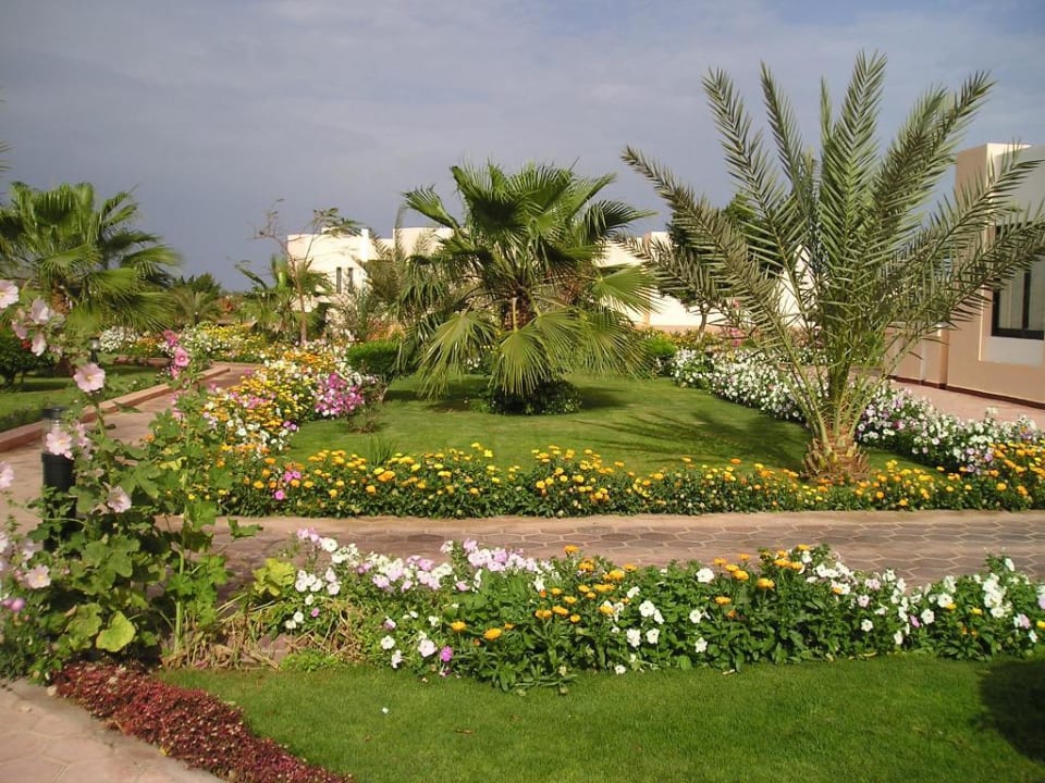 Gartenanlage Pharaoh Azur Resort
